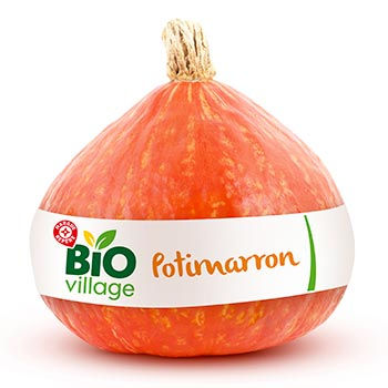 Potimarron Bio Village 1p