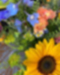 a close up photo of bright flowers, yellow sunflower, blue delphinium, snapdragons, and feverfew