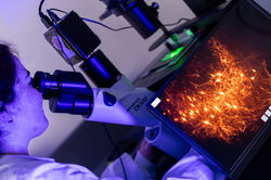 IMG_2003 Full Resolution