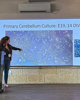 WhatsApp Image 2023-08-05 at 16.31.51.jpeg