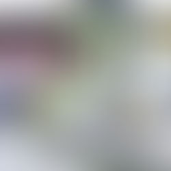 AUDIENCIA PÚBLICA PARA EL INDER Y SECRETARIA DE EDUCACIÓN