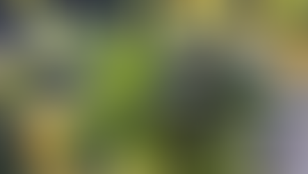 Democratic Senate Leaders Announce Steps To Federally Legalize Marijuana In 2021