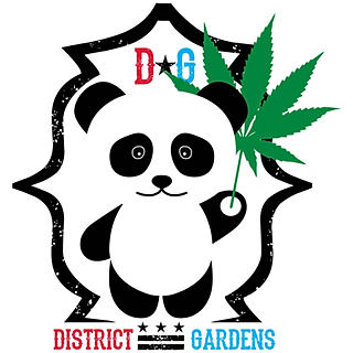 Writer: District Gardens Team