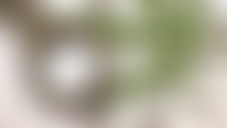 Texas Lawmakers Approve Marijuana Decriminalization Bill