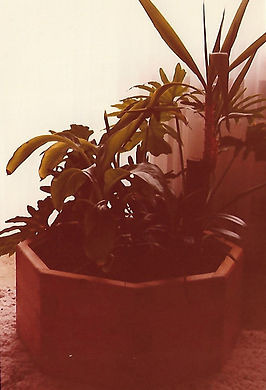 Image by Henri Schram, student of the class Joseph Beuys, Norbert Kricke, Erwin Heerich at the Kunstakademie Düsseldorf