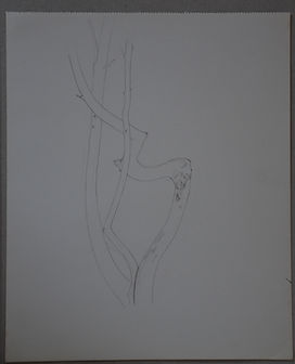 Image by Henri Schram, student of the class Joseph Beuys, Norbert Kricke, Erwin Heerich at the Kunstakademie Düsseldorf