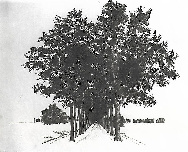 Image by Henri Schram, student of the class Joseph Beuys, Norbert Kricke, Erwin Heerich at the Kunstakademie Düsseldorf