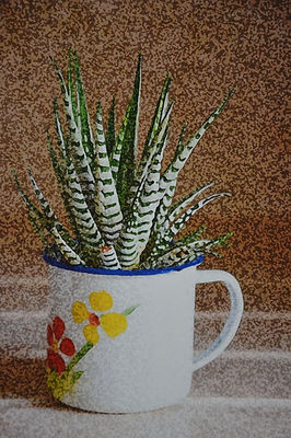 Image by Henri Schram, student of the class Joseph Beuys, Norbert Kricke, Erwin Heerich at the Kunstakademie Düsseldorf