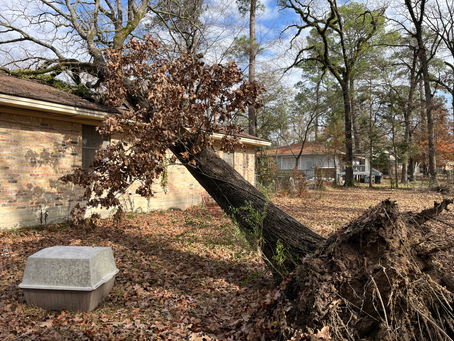 aftermath of storm damage