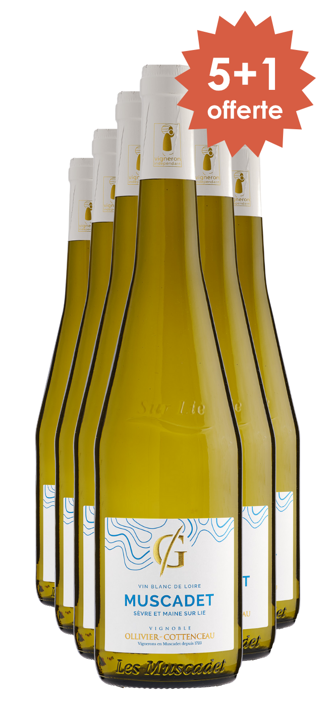 AOP Muscadet Sèvre et Maine sur Lies "Parcellaire" Domaine de La Grenaudière 2023