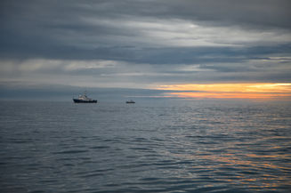 IMG_3613-01.jpg