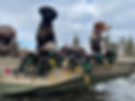 IMG_2981.jpeg