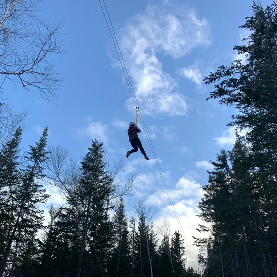 zipline.webp