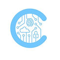 Circuit C brain.jpg