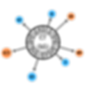 C Altered scale
