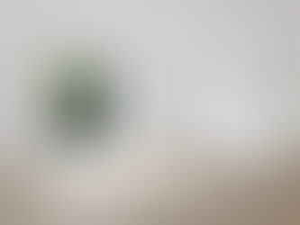 Aprueba Congreso de CDMX tope a rentas de vivienda