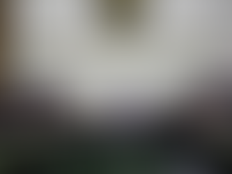 Aprueban anteproyectos para asignar 'pluris' en San Lázaro y Senado