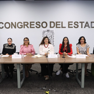 Avala Comisión del Congreso reformas a la Ley para el Acceso de las Mujeres a una Vida Libre de Violencia