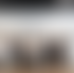 Ante Comisión Instructora, especialista analiza temas relacionados con el juicio político