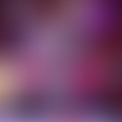 Entrega Gobierno de Pepe Chedraui fuente del Parque Sor Juana Inés de la Cruz