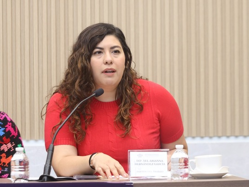 Promueve diputada Xel Arianna Hernández elevar sanciones contra abuso sexual