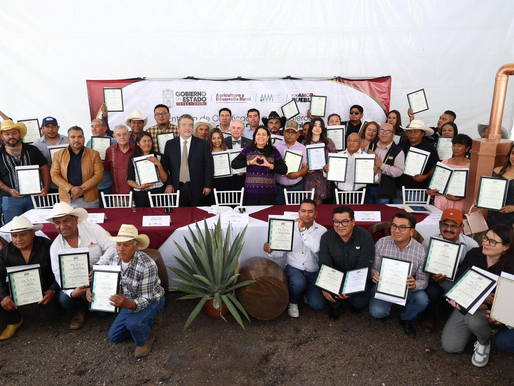 Puebla consolida liderazgo nacional en producción de mezcal con 91 medallas