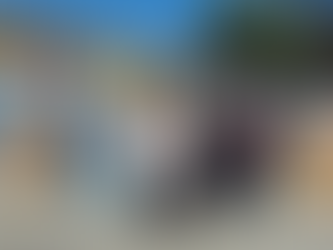 Familias de la Sierra Norte reciben apoyos federales por contingencia