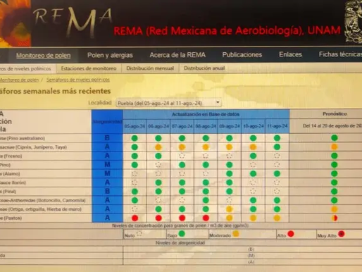 SIN LÍMITES | Inicia contaminación por polen en Puebla