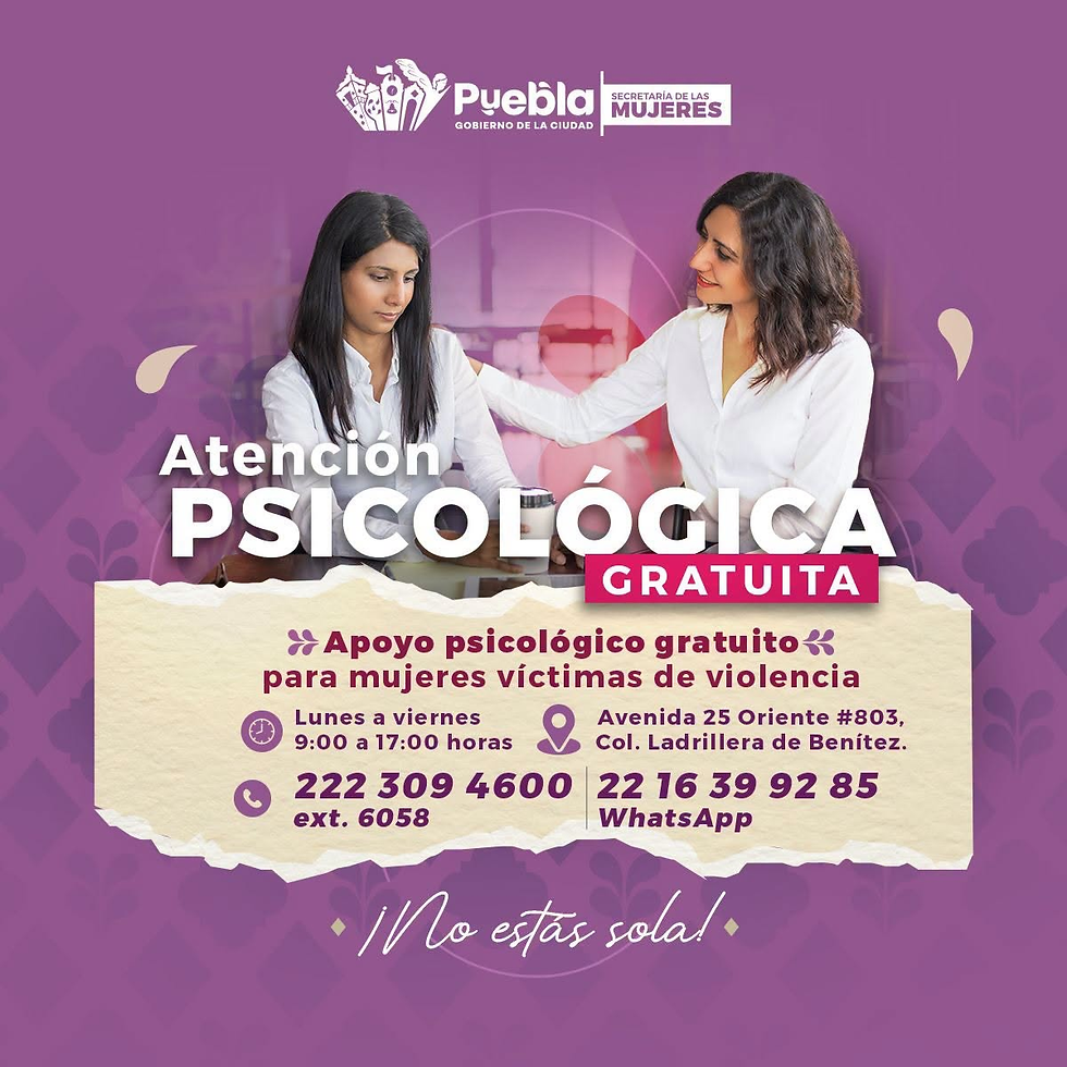 Gobierno de Pepe Chedraui acerca atención psicológica y asesoría jurídica a las mujeres
