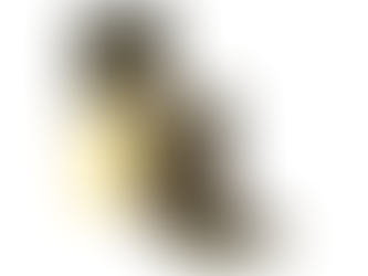 Samsung apoya la psicología y bienestar de los paralímpicos españoles