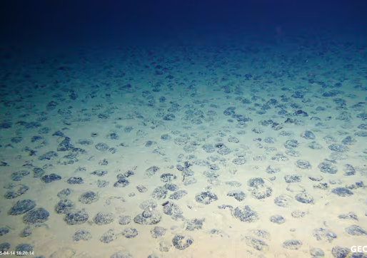 Hallazgo en las profundidades marinas: “Es oxígeno oscuro”