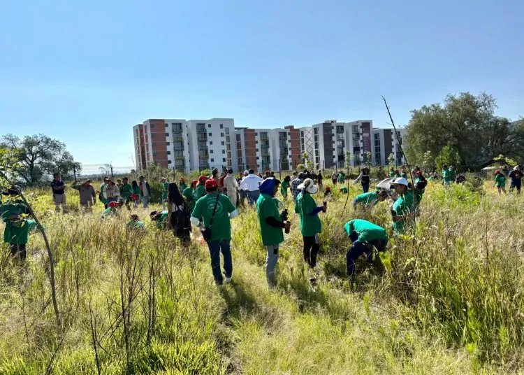 Impulsa Chedraui restauración del Cerro de Amalucan con “Raíces del Futuro