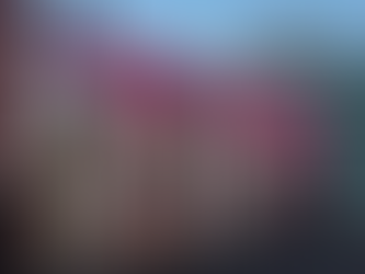 Gobierno de Pepe Chedraui invita a regularizar anuncios en el Centro Histórico