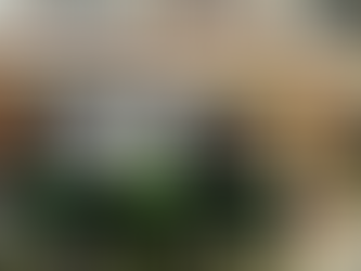 Reitera Gobierno de la Ciudad compromiso con el medio ambiente