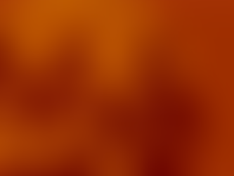 POR LOS MUNICIPIOS | El bolero llegó a México en barco y ahora es Patrimonio Mundial