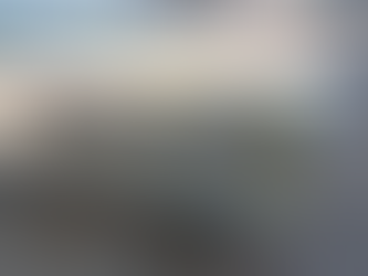 Insólito hallazgo en un bar de playa