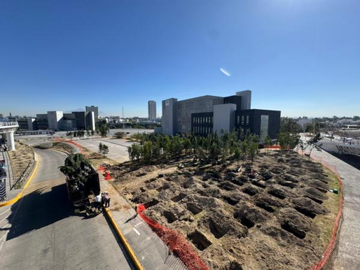 Inicia reforestación urbana en CIS y Parque Ecológico; la meta son 10 mil árboles