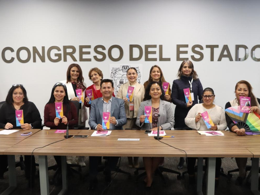 Comisión del Congreso fortalece vínculos con organizaciones civiles