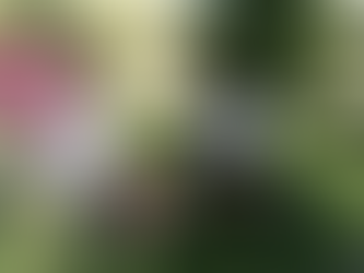 Continua Gobierno de la Ciudad fortaleciendo el compromiso por escuelas sustentables