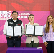 Gobierno del estado lidera protección de género con ONU Mujeres