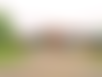 De escuela a centro de arte