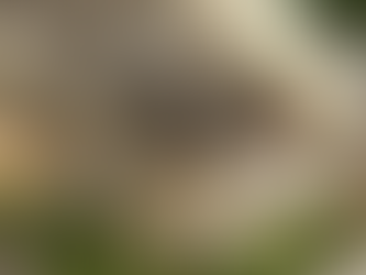 Mega incendio en departamentos de Miami