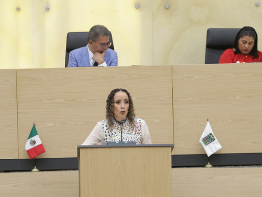 Propone diputada Susana Riestra fortalecimiento de atención para menores víctimas de delitos