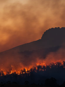 I Bet Government Locks Us Down Again, But This Time Because Of Climate Change