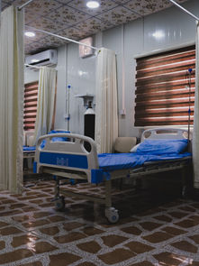 Why Should We Believe A Word AHS Says When All They Do Is Lie?