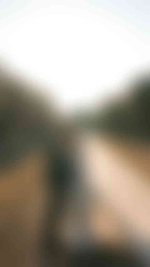 Bride walking through golden fields at sunset, captured in soft natural light in Southern Italy.