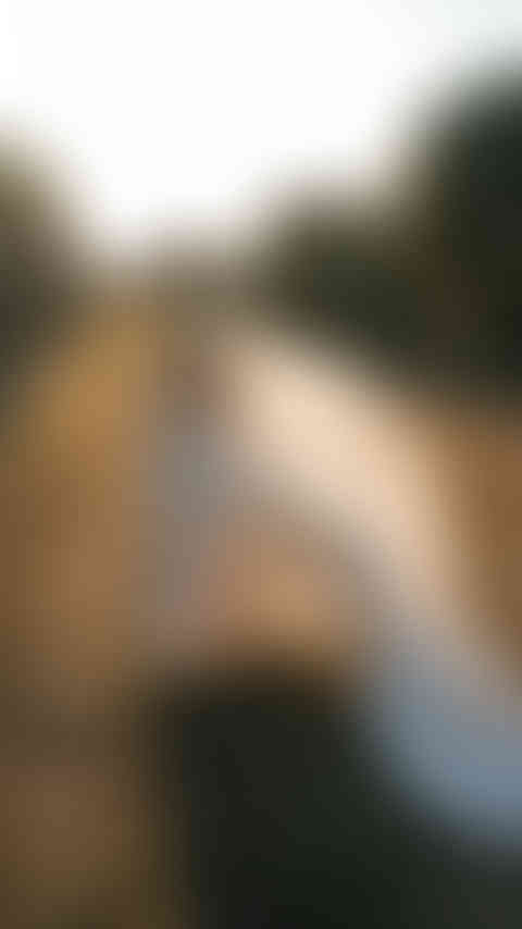 Bride’s veil flowing in the wind during golden hour in Puglia, timeless editorial portrait.