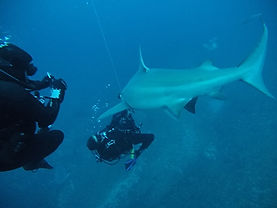 GOPR3283.JPG