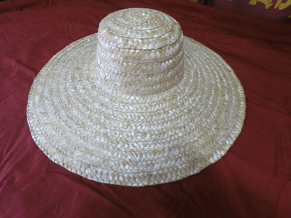 SOTW Roman Petasos Straw Hat