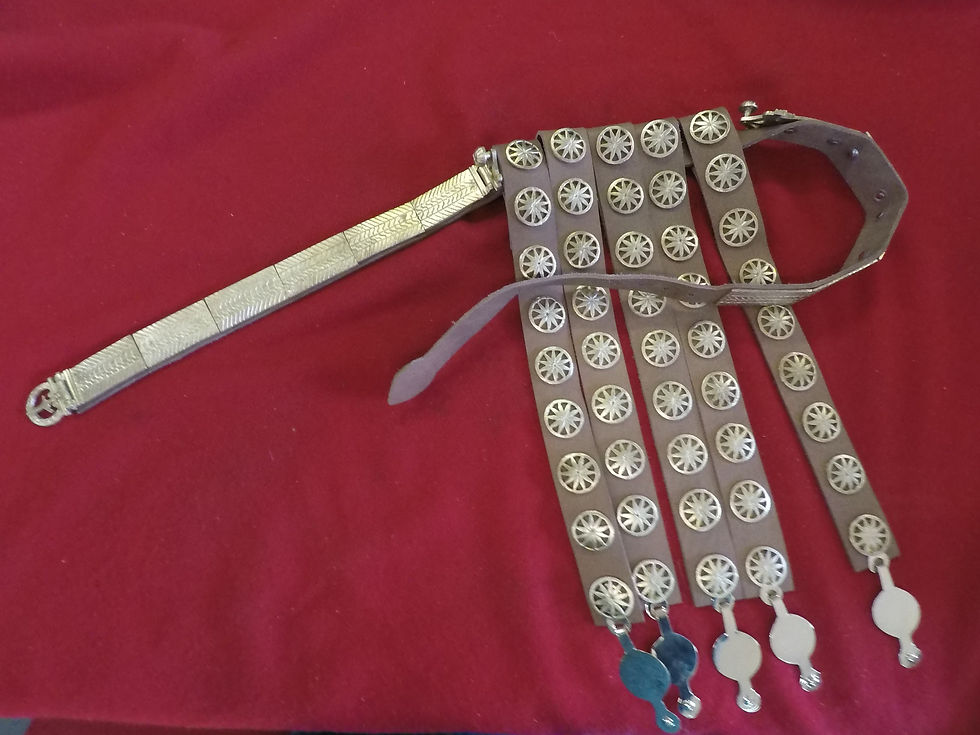 SOTW Hod Hill Balteus